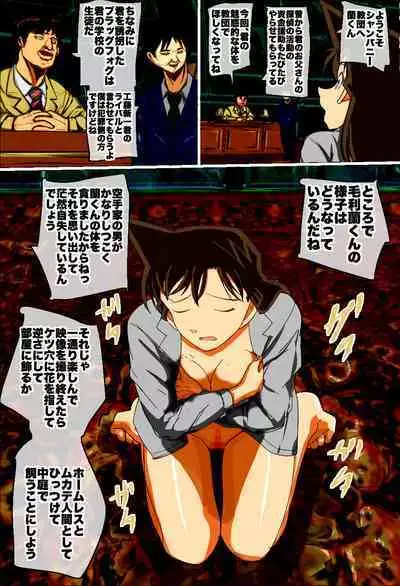 毛◎蘭がとうとう犯罪組織に捕まった！！ 名◎偵コナン 毛◎蘭vs空手六段男のAV撮影