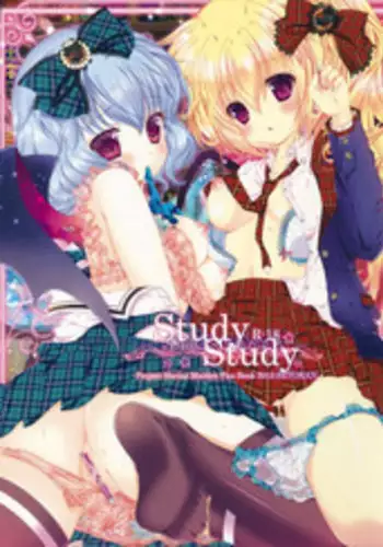 (Reitaisai 10) [Setoran (Itou Seto, Tanno Ran)] Study Study (Touhou Project)