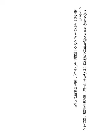 年上メイドの新婚日記