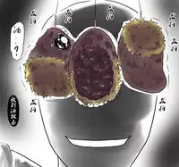 ラジコン(Chinese)