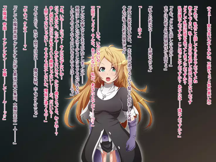 Hero Rengou Sennou Kanraku no Wana ~Battle Sister Hen~