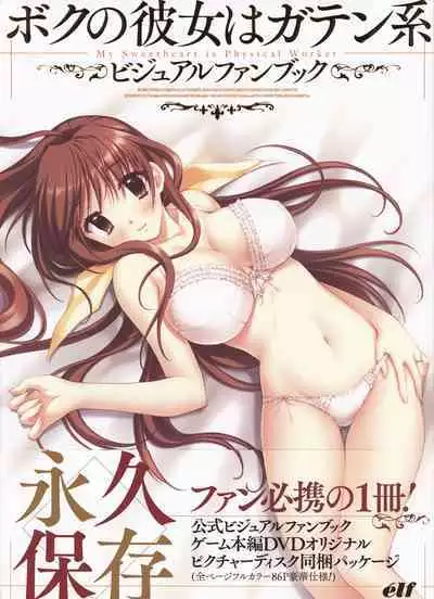 My Sweetheart is Physical Worker VISUAL FAN BOOK