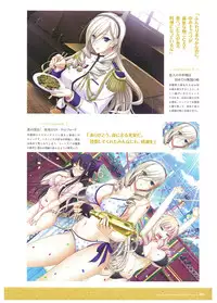 Walkure Romanze Visual Fan Book