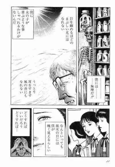 Love Letter from Kanata