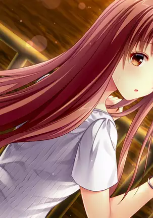 Koinoha -Koi no Share House-