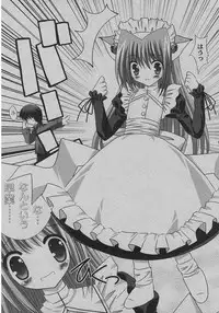 [ShikigamiAzuma]God Chome cat