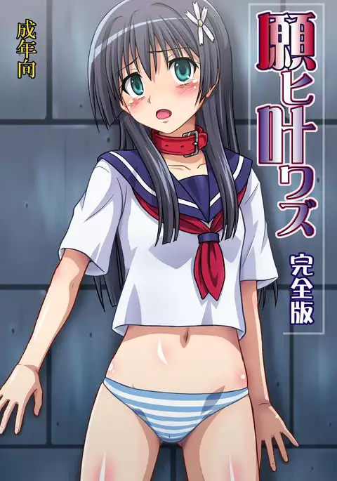 Negai Kanawazu Kanzenban