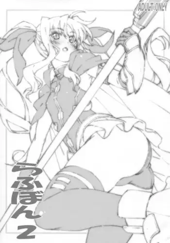 (C87) [PHYSALIS (Seresu)] Roughbon 2 (Mahou Shoujo Lyrical Nanoha)