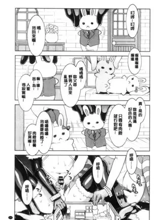 Youkoso Mizuryu Kei Land