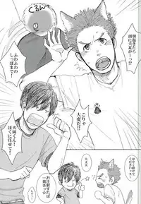 ココ♂掘れわんわんっ! (ハイキュー!!)