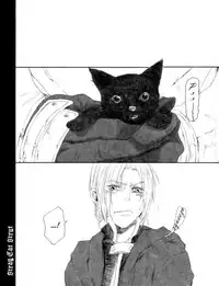 [NINEKOKS (Kyuugou)] Stray Cat Strut #5.5 (Full Metal Alchemist) [English]