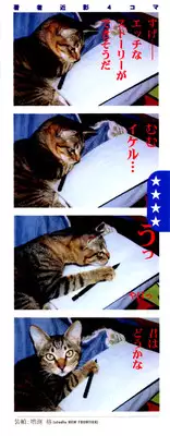 [Sakurami Hiroki] Shippo no Shikumi