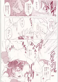 (C73) [Hougakuya (Nanboku, Tohzai)] ROUND 01 (Street Fighter)