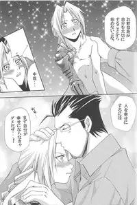 (CT4) [Mulberry (Bakkon Tamago, Maririn Anaka)] Cats on Maes 2 (Fullmetal Alchemist)