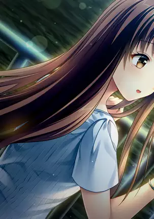 Koinoha -Koi no Share House-