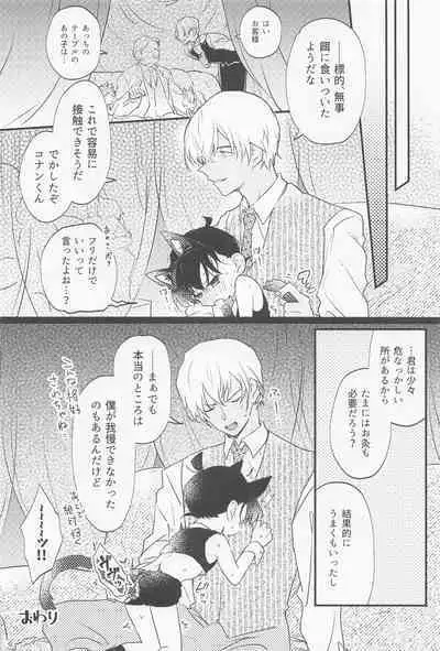 [kankinPACO] Cat night (meitanteikonan)