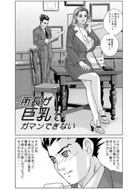 (C68) [D-LOVERS (Nishimaki Tohru)] Gyakuten-Nyukan (Ace Attorney) [Decensored]