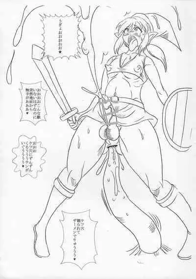 Hyrule no Mesu Yuusha