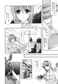 [Hibari Rei] Midarana Aijou