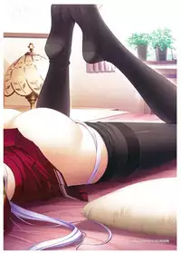 Walkure Romanze Visual Fan Book