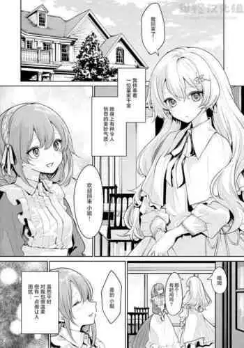 [Zanka] Maid-san o Yuuwaku suru Ojou-sama [Chinese] [甜橙汉化组]