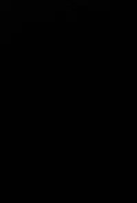 (C85) [Unizo (Unikura)] BITCH QUEENS Wakuwaku Poolside Date (Fate/stay night)