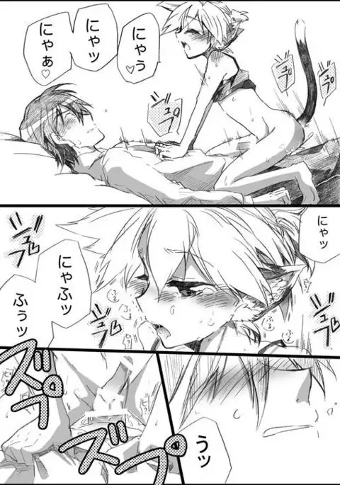 Nyanko no Iru Seikatsu