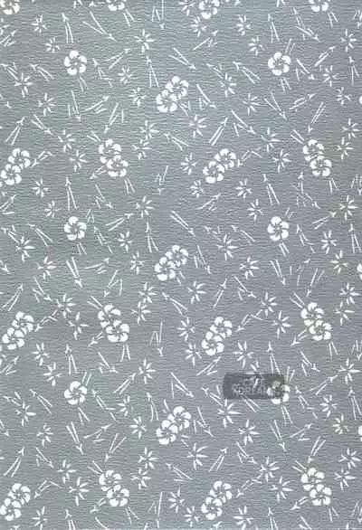 Ake no Fukuro | 破晓之枭1