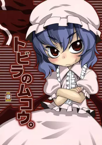 (Aka no Hiroba) [USO Seisakusho (Harukaze Unipo)] Tobira no Mukou. (Touhou Project)