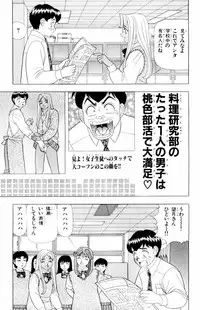 [Yamada Kousuke] Tameshita Girl Vol 4