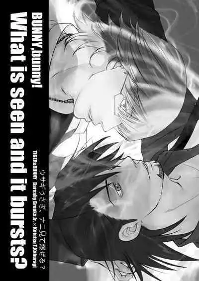 Usagi Usagi, Nani Mite Hazeru