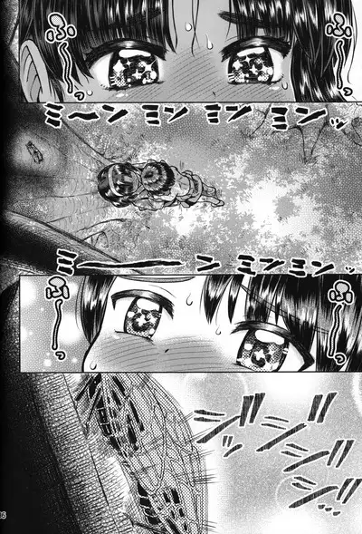 Natsuyasumi no Watashi-tachi: Jun to Seia