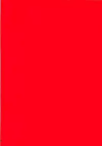 (Reitaisai 15) [Dressblackheulee (BlackBaka)] Touhou Ero ProWres Match (Touhou Project)