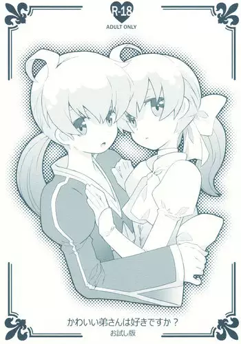 (C78) [Bakuhatsu BRS. (B.Tarou)] Kawaii Otouto-san wa Suki desu ka? Otameshiban (Final Fantasy Tactics)