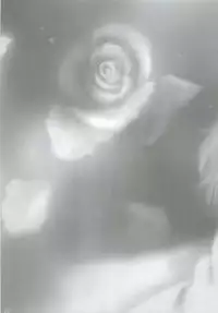 (MakiMaki 7) [Charm (Toshi Hiroshi)] SANCTUARY (Rosen Maiden)