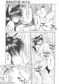 [Shizaki Masayuki] Abyssinian