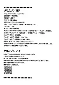 (C70) [Crimson Comics (Crimson)] Midasareshi Onna Madoushi Soushuuhen (Dragon Quest VIII)