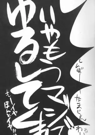 Papa Wa Musician Mama Wa J-Leaguer 2