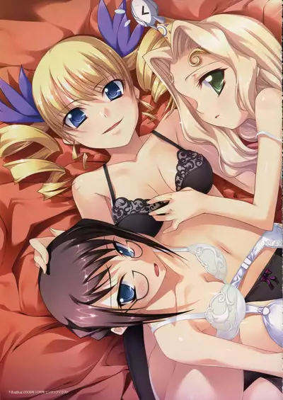 Shin Koihime Musou -Otome Ryouran Sangokushi Engi- Perfect Visual Book