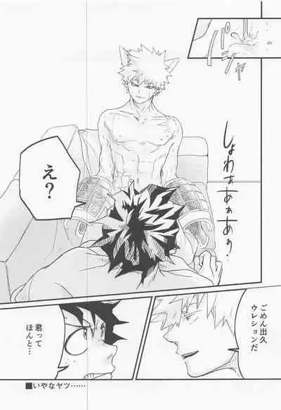 hironosekkusunantekonnamon