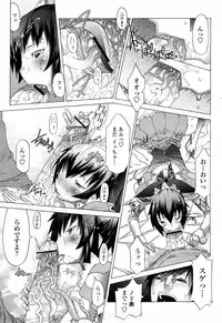 COMIC Momohime 2008-04