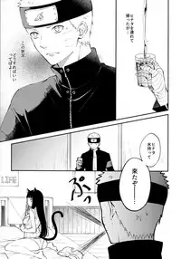 My Sweet Little Kitty