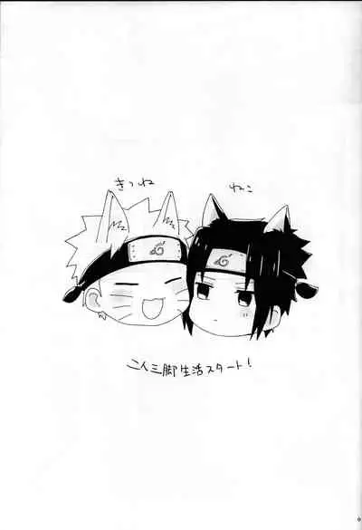 [Usagi Noodle (Hotohori, Mona-chan)] Nininsankyaku Seikatsu (Naruto)