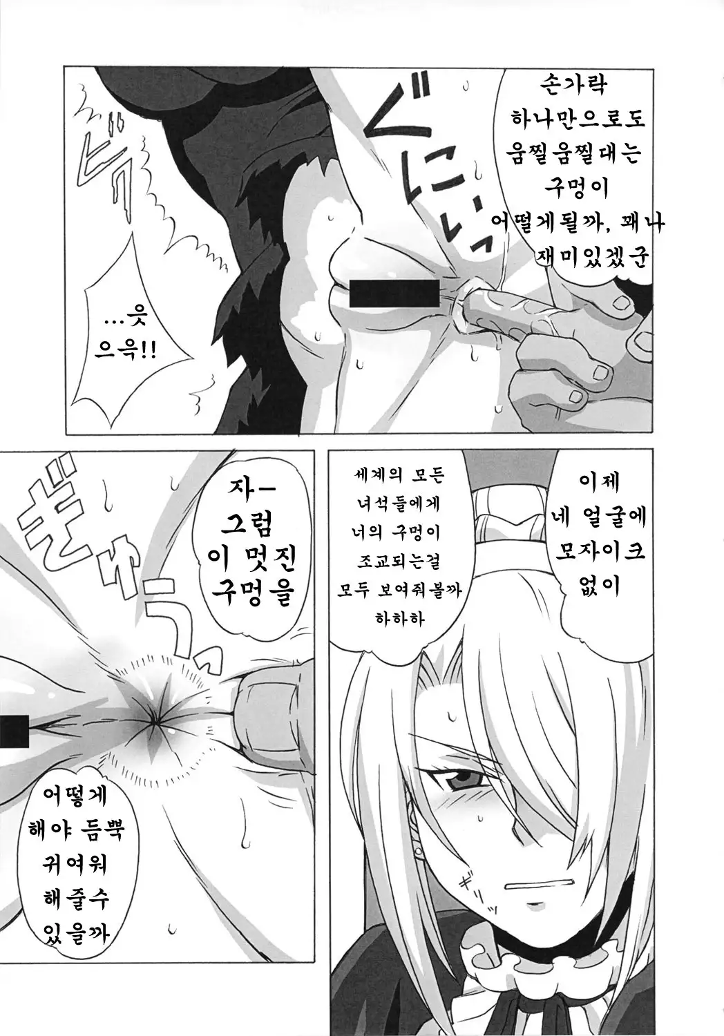 Hilda-san ni Hidoi Koto wo Shitemita