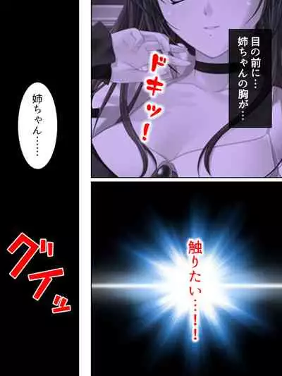 Nee-chan wa Boku no Kokan no Sewagakari ～Konna Seikatsu, Yamerarenai!～