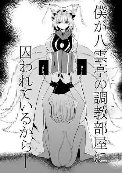 八雲藍による性奴○射精管理調教 子狐編