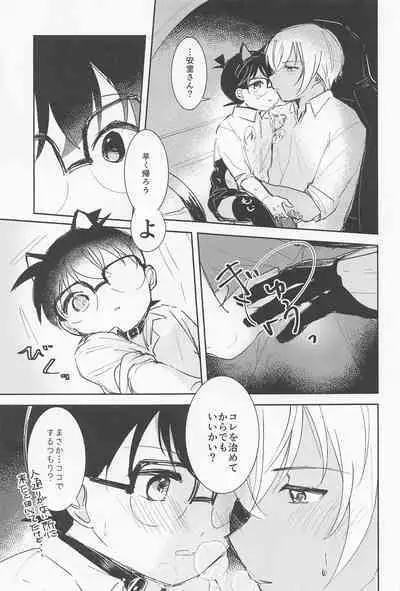 [kankinPACO] Cat night (meitanteikonan)