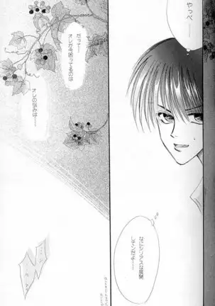 Papa Wa Musician Mama Wa J-Leaguer 2