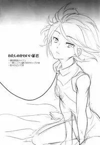 (C79) [Gokudou Daigensui (Noriaki Kayama)] Watashi no Kawaii Boukun (Inazuma Eleven)