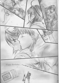 (C70) [PONCHEES (KARI) (Irohane Sui)] Rukia Kuchiki Minimum Maniax File (BLEACH)